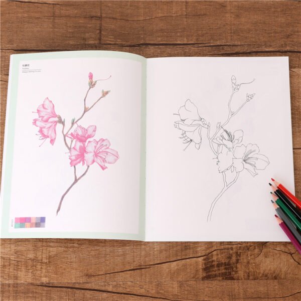 Seasons of Flowers Adult Coloring Book